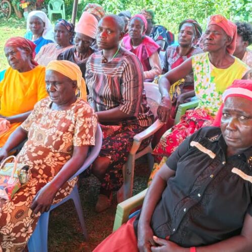 Feed Our Community: Food Drive