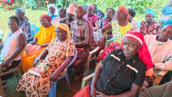 Feed Our Community: Food Drive