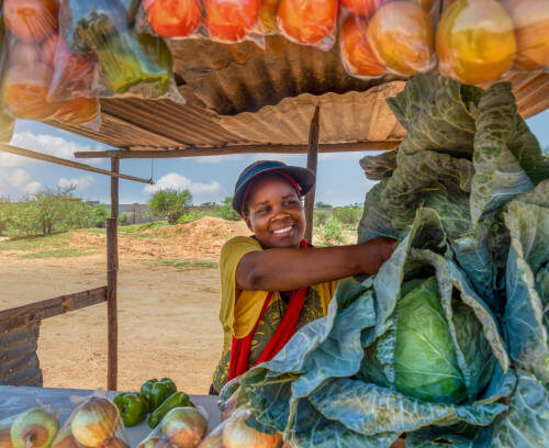 Hope Builders: Economic Empowerment for Widows